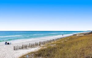 The Shell Seeker - Santa Rosa Beach, Florida