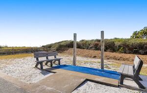 The Shell Seeker - Santa Rosa Beach, Florida