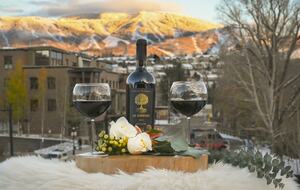 The Boathouse | A Luxury Riverside Retreat in Steamboat Springs - Steamboat Springs, Colorado