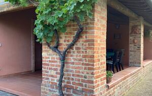 Elegant Countryside Retreat in the Heart of Val di Chiana - Montepulciano Stazione, Italy