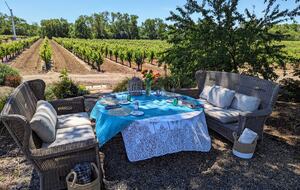 Charming Farmhouse on 30 Acre Vineyard - Healdsburg, California