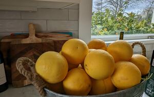 Charming Farmhouse on 30 Acre Vineyard - Healdsburg, California