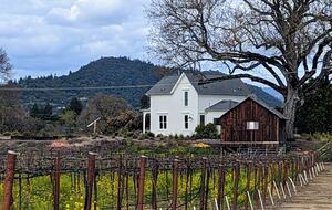 Charming Farmhouse on 30 Acre Vineyard - Healdsburg, California