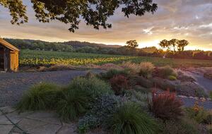 Charming Farmhouse on 30 Acre Vineyard - Healdsburg, California