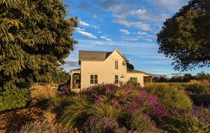 Charming Farmhouse on 30 Acre Vineyard - Healdsburg, California