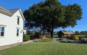Charming Farmhouse on 30 Acre Vineyard - Healdsburg, California