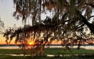 Historic Charm in the Heart of Lakeland - Lakeland, Florida