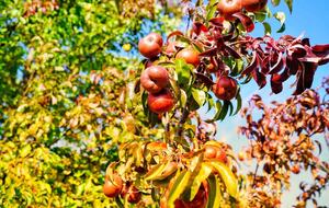 Lake Champlain Waterfront Retreat | 14 Acres of Serenity - Grand Isle, Vermont