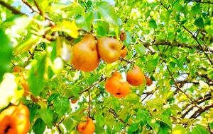 Lake Champlain Waterfront Retreat | 14 Acres of Serenity - Grand Isle, Vermont