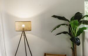 Rainforest Meets the Reef | A Tropical Sanctuary in Trinity Beach - Cairns, Australia