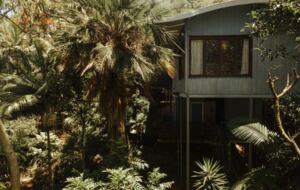 Rainforest Meets the Reef | A Tropical Sanctuary in Trinity Beach - Cairns, Australia