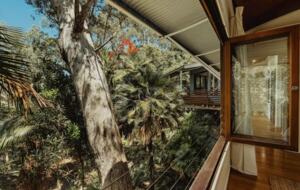 Rainforest Meets the Reef | A Tropical Sanctuary in Trinity Beach - Cairns, Australia