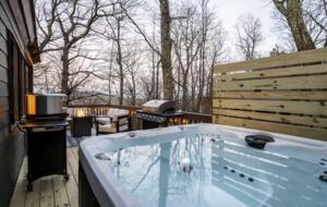 Treetop Chalet | Steps to Ski & Hike - Roseland, Virginia