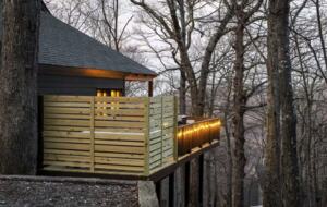 Treetop Chalet | Steps to Ski & Hike - Roseland, Virginia