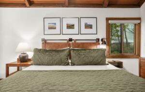 Treetop Chalet | Steps to Ski & Hike - Roseland, Virginia