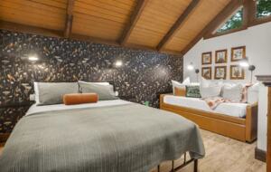 Treetop Chalet | Steps to Ski & Hike - Roseland, Virginia