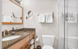 Treetop Chalet | Steps to Ski & Hike - Roseland, Virginia