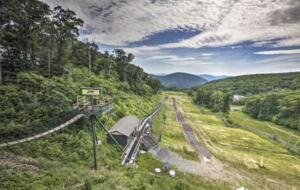 Treetop Chalet | Steps to Ski & Hike - Roseland, Virginia