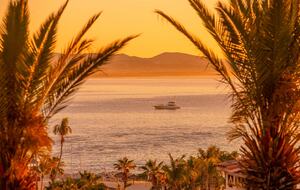 Casa Bella | A Tranquil Retreat Steps from the Sea of Cortez - San Jose del Cabo, Mexico