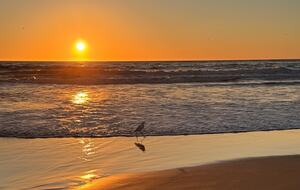 Architectural Oasis in Venice - Venice, California