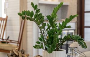 My Sandlot Parguera Beach Chalet - Lajas, Puerto Rico