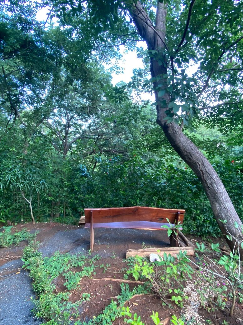 Jungle Charm Near the Coast - Playas del Coco, Costa Rica