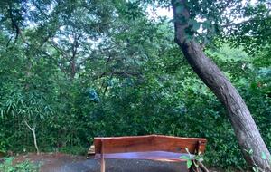 Jungle Charm Near the Coast - Playas del Coco, Costa Rica