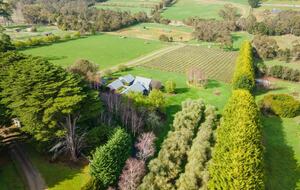 Nafplio | A Sophisticated Vineyard Escape in Red Hill South - Red Hill South, Australia