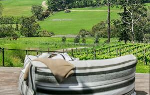 Nafplio | A Sophisticated Vineyard Escape in Red Hill South - Red Hill South, Australia
