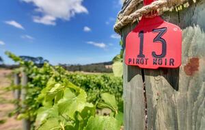 Nafplio | A Sophisticated Vineyard Escape in Red Hill South - Red Hill South, Australia