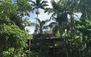 Villa Zena | Elegant Colonial-Style Escape Surrounded by Rainforest - Cape Tribulation, Australia