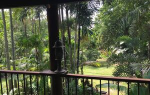 Villa Zena | Elegant Colonial-Style Escape Surrounded by Rainforest - Cape Tribulation, Australia