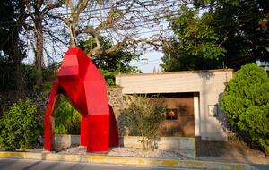 Artful Elegance in Morelos - Yautepec, Mexico