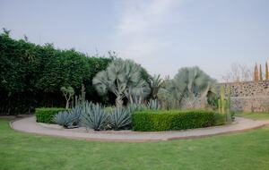 Artful Elegance in Morelos - Yautepec, Mexico