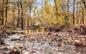 Tranquility Among the Trees in Hochatown - Broken Bow, Oklahoma