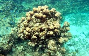 Caribbean Rhapsody Villa - Island Harbour, Anguilla