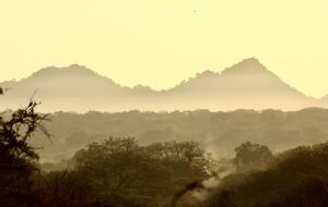 Lubbesrust Boutique Lodge - Tuli Block, Botswana
