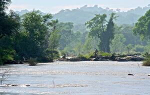 Lubbesrust Boutique Lodge - Tuli Block, Botswana