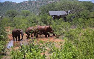 Lubbesrust Boutique Lodge - Tuli Block, Botswana