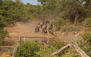 Lubbesrust Boutique Lodge - Tuli Block, Botswana