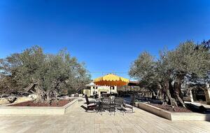 Petaluma One of a Kind Vineyard Residence - Petaluma, California