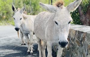 On The Rocks: An Exclusive Oceanview Retreat in St. John - Cruz Bay, Virgin Islands, U.S.