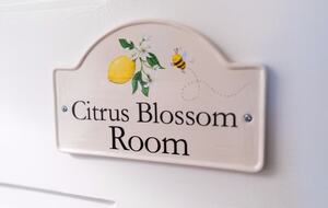 Highlands Cottage - Highlands, North Carolina