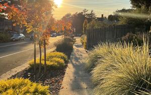 Elegant Family Home Near Berkeley & San Francisco - El Cerrito, California