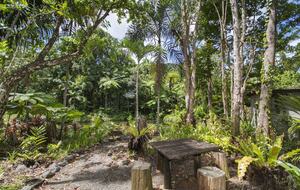 Villa Zena | Elegant Colonial-Style Escape Surrounded by Rainforest - Cape Tribulation, Australia