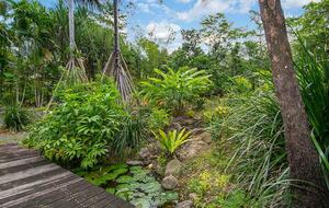 Villa Zena | Elegant Colonial-Style Escape Surrounded by Rainforest - Cape Tribulation, Australia