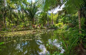 Villa Zena | Elegant Colonial-Style Escape Surrounded by Rainforest - Cape Tribulation, Australia
