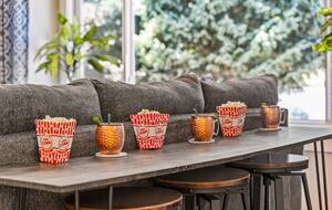 A Family-Friendly Retreat Near Denver - Littleton, Colorado