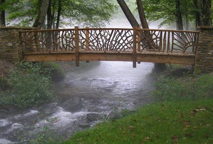 Mystic Forrest Nantahala N.C.