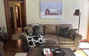 Couch doubles as a sleeper if needed